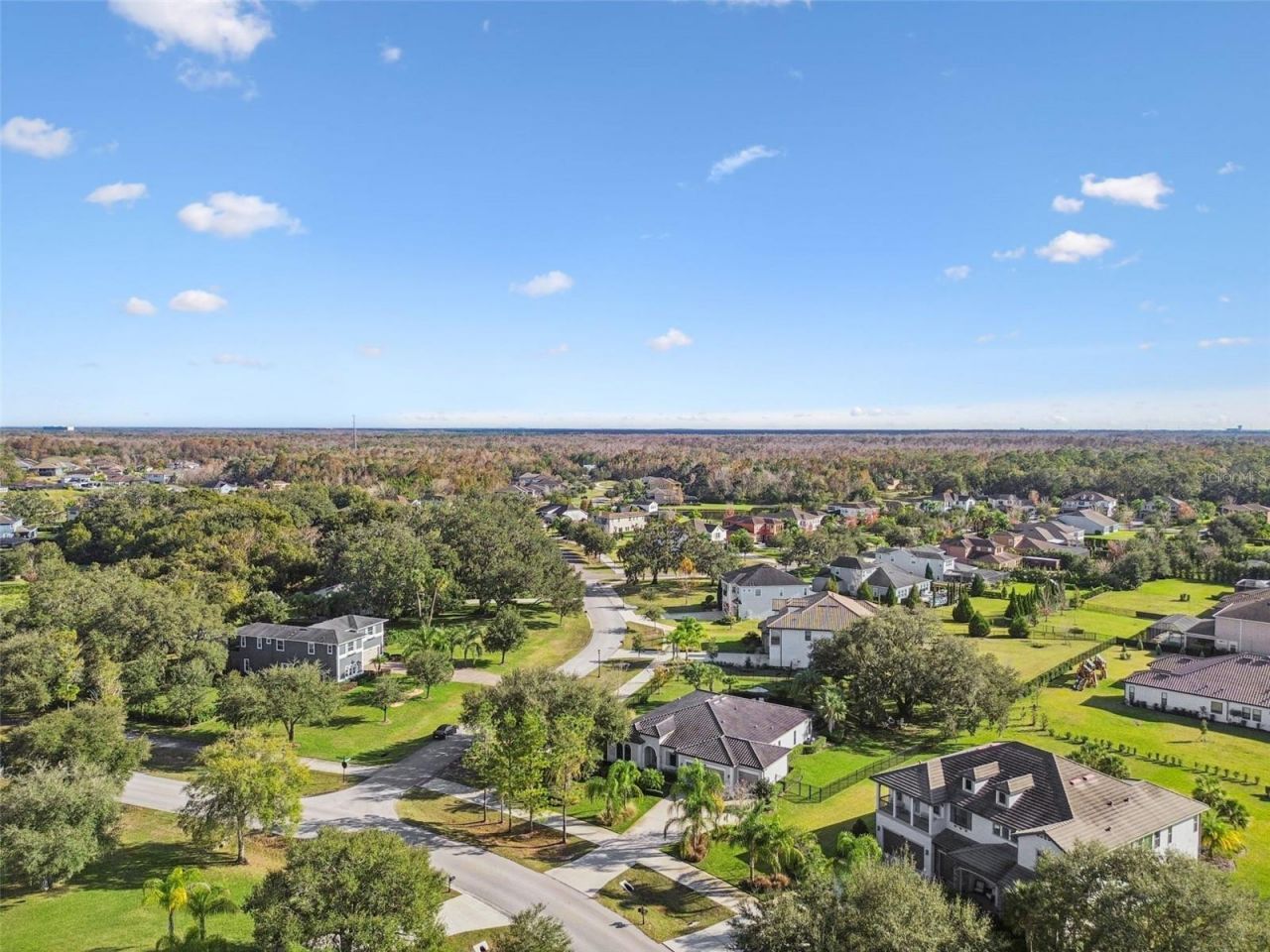 2519 Cordoba Ranch Boulevard, Lutz, FL 33559 Photo