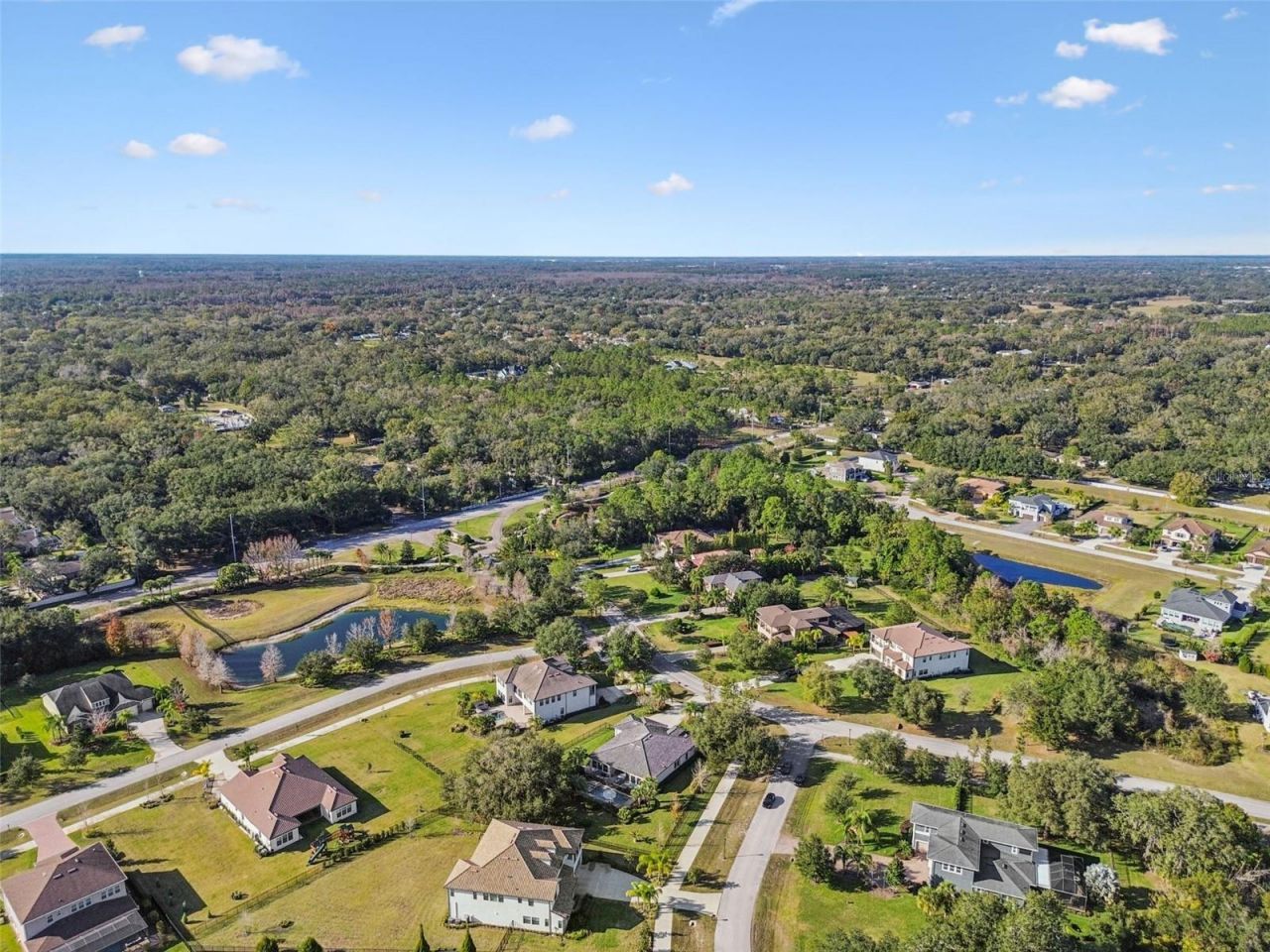 2519 Cordoba Ranch Boulevard, Lutz, FL 33559 Photo