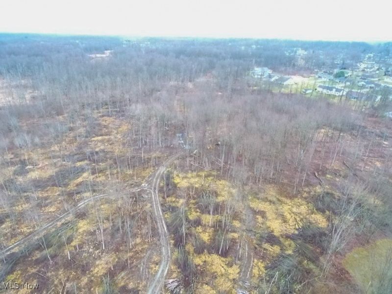 Old Colony Road NW, Champion, OH 44481 Photo 4