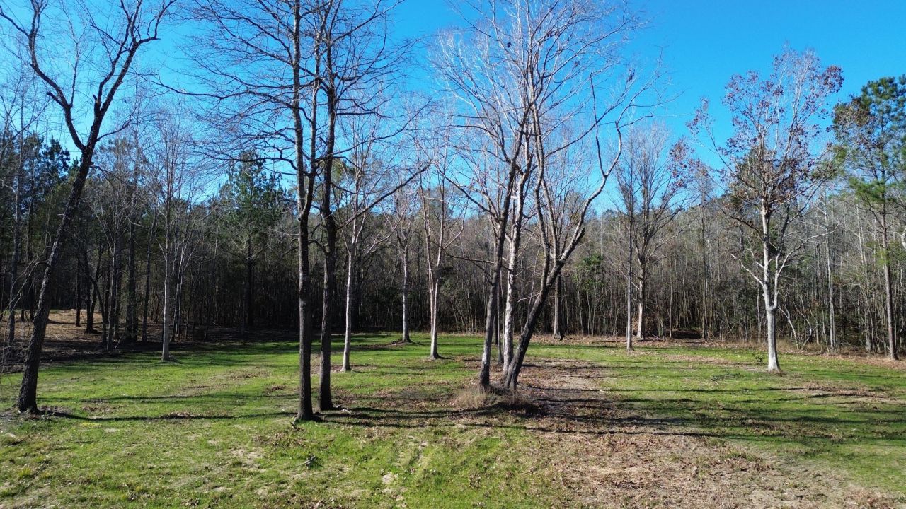 1 Crystal Lake Trail Photo 14