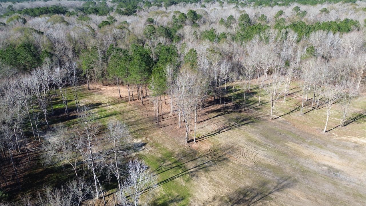 1 Crystal Lake Trail Photo 6