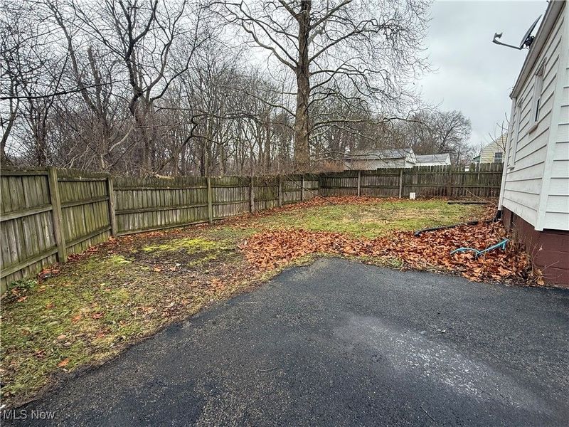 95 E Earle Avenue, Youngstown, OH 44507 Photo 4