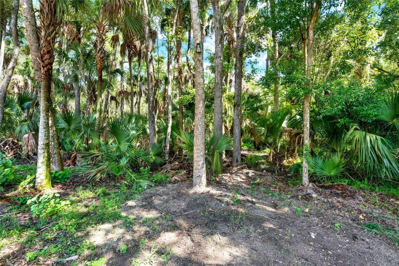 1862 Enterprise Osteen Road, Deltona, FL 32738 Photo
