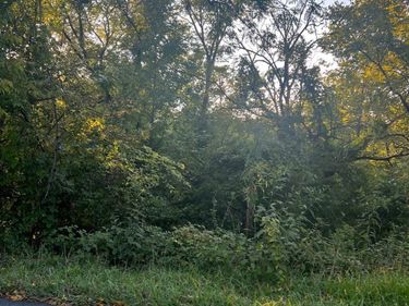 0 KINGS Road, Madison Heights, VA 24572