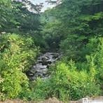 001 Lot A Bowen Road, Randolph, NY 14772 Main Photo