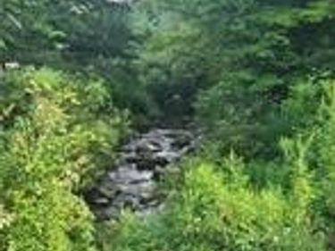 001 Lot A Bowen Road, Randolph, NY 14772