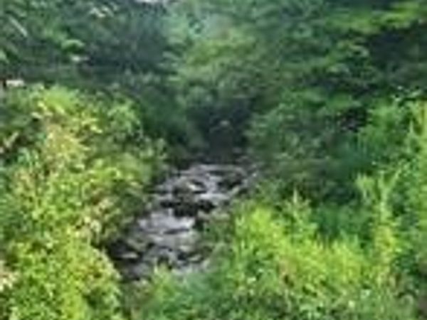 001 Lot A Bowen Road, Randolph, NY 14772