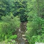 001 Lot B Bowen Road, Randolph, NY 14772 Main Photo