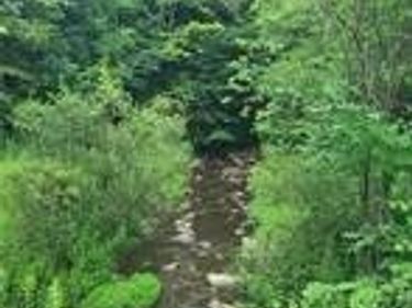 001 Lot B Bowen Road, Randolph, NY 14772