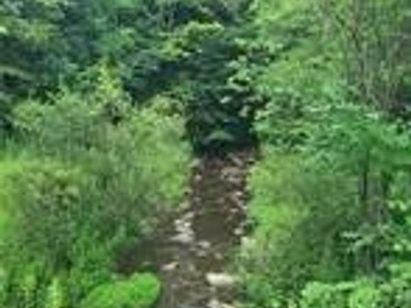 001 Lot B Bowen Road, Randolph, NY 14772