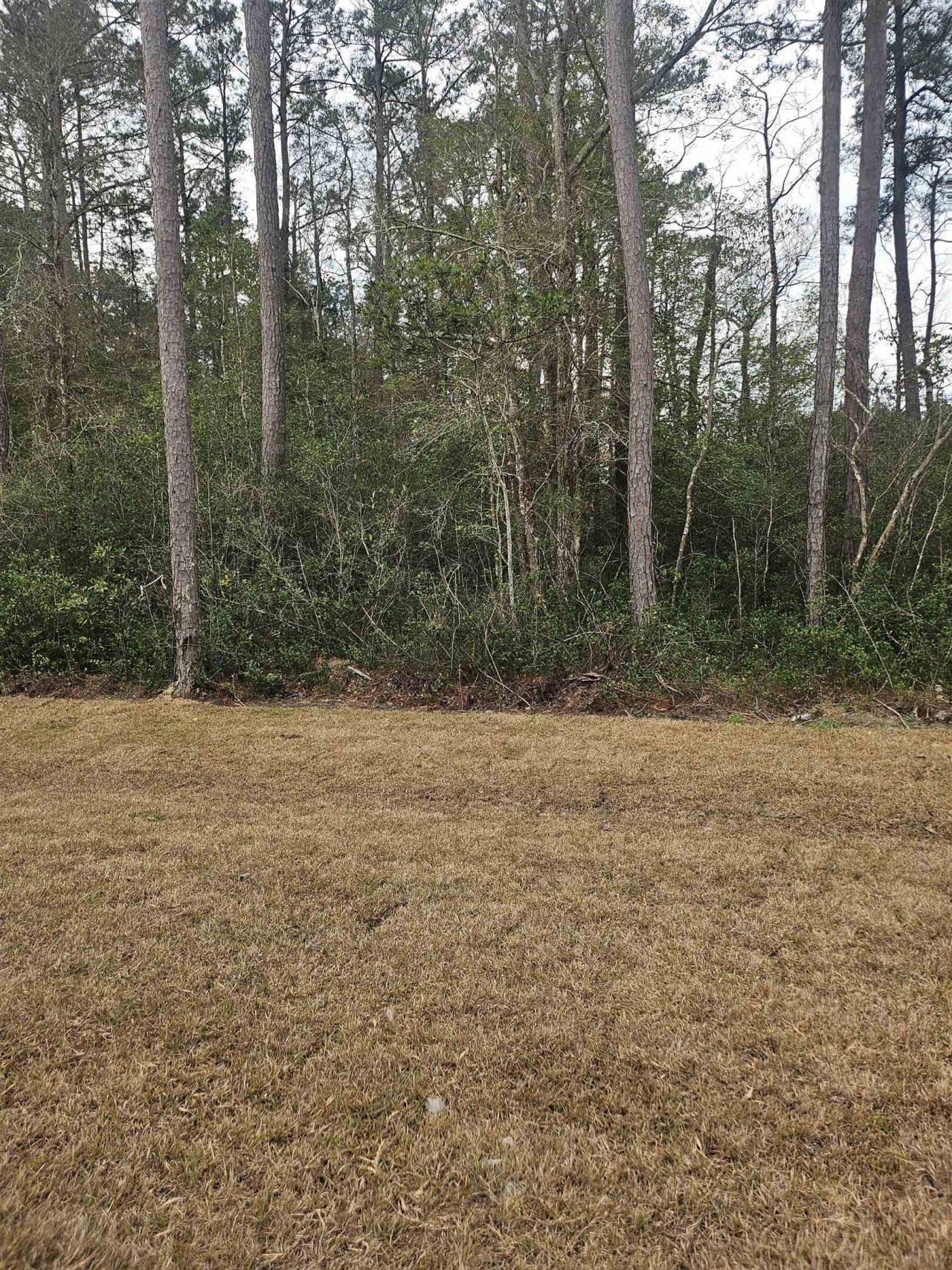 1216 Mill Banks Dr. Photo 28