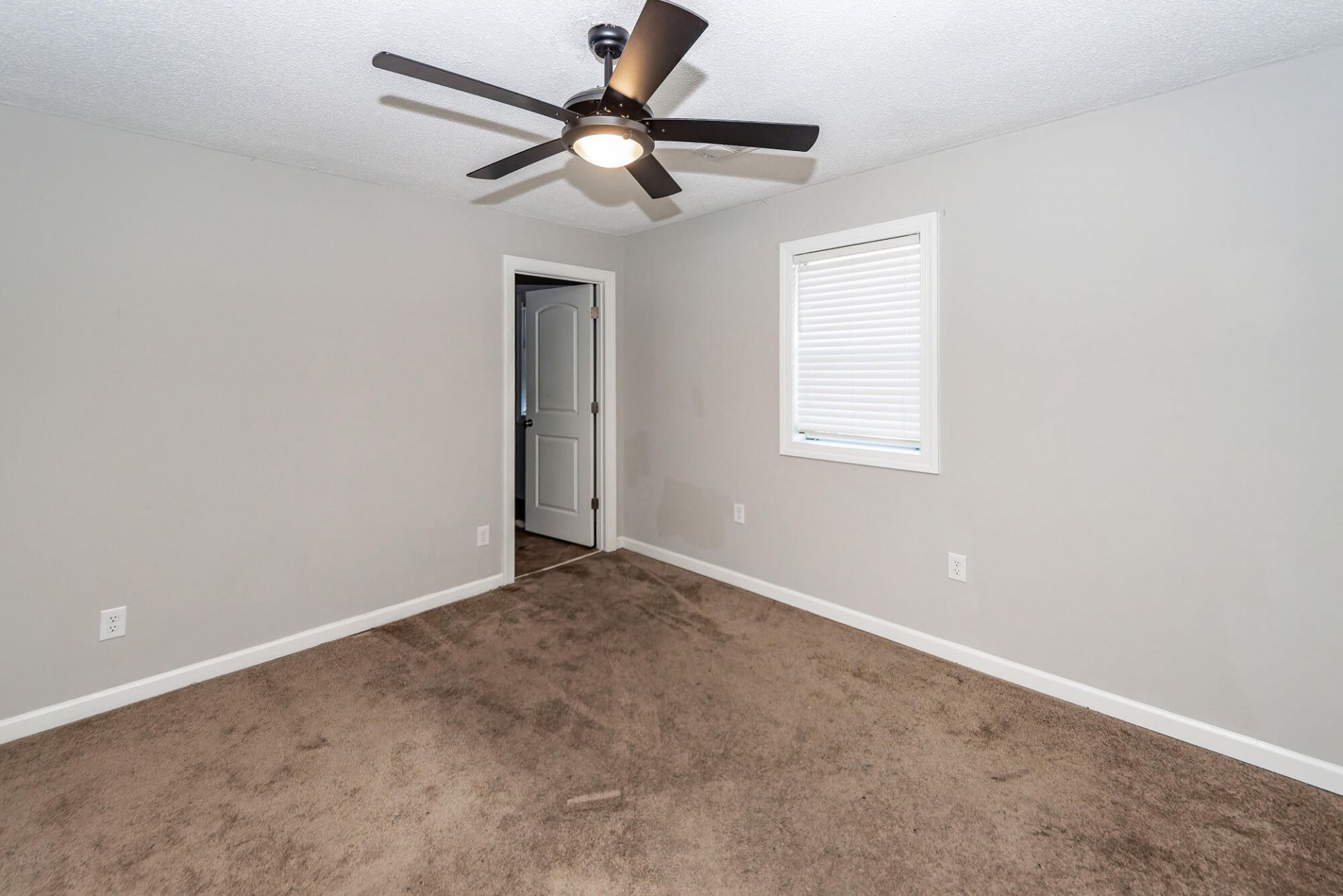 237 Amy Drive Photo 20