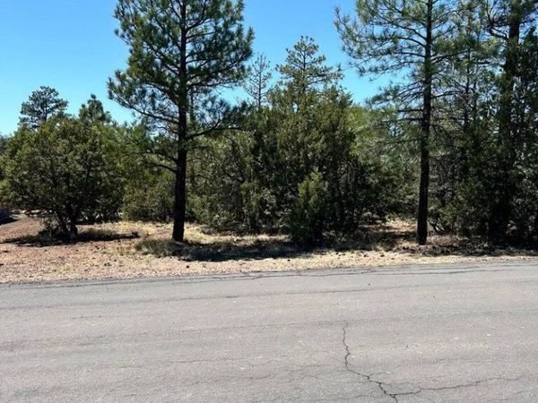 4864 BISON Trail, Unit 40, Lakeside, AZ 85929