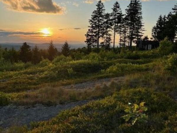 533 Mount Ephraim Map 4 Lot 63 Road , Searsport, ME 04974