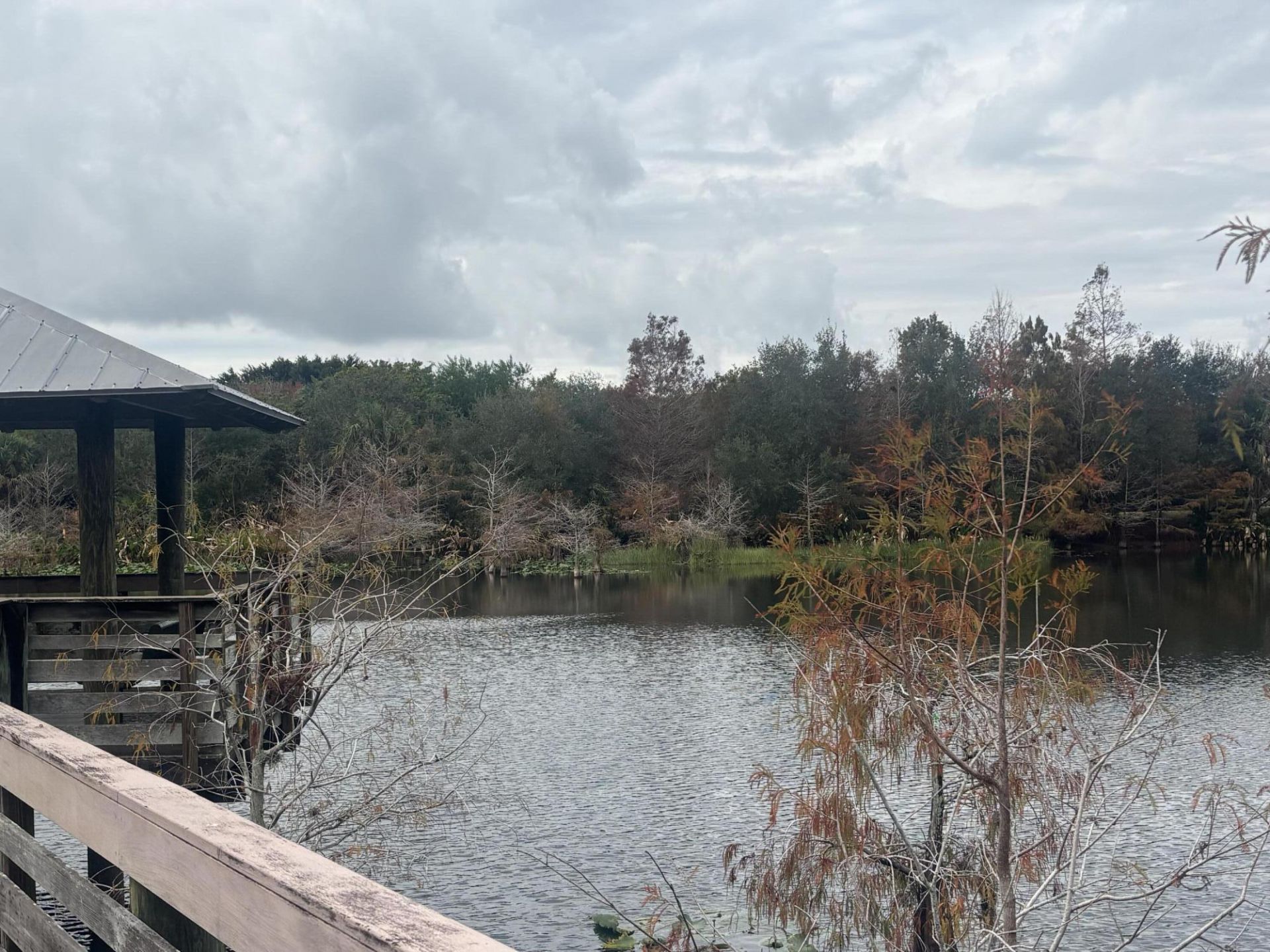 2156 SE Fern Park Drive, Port Saint Lucie, FL 34952 Photo