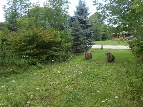 VL Shurmer Road, Strongsville, OH 44136