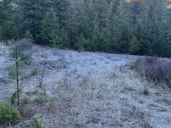 31270 Blue Grouse E Dr, Davenport, WA 99122