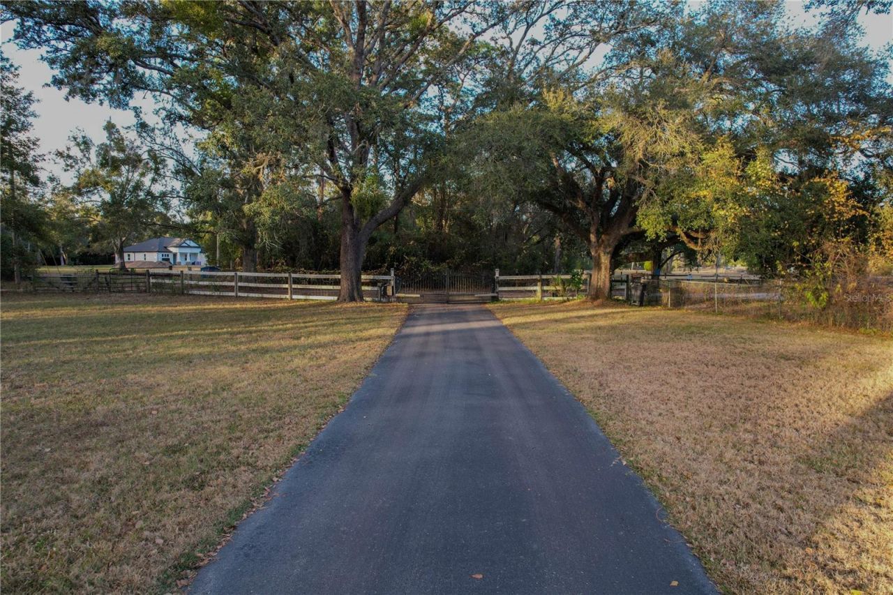 20600 Moreland Drive, Spring Hill, FL 34610 Photo