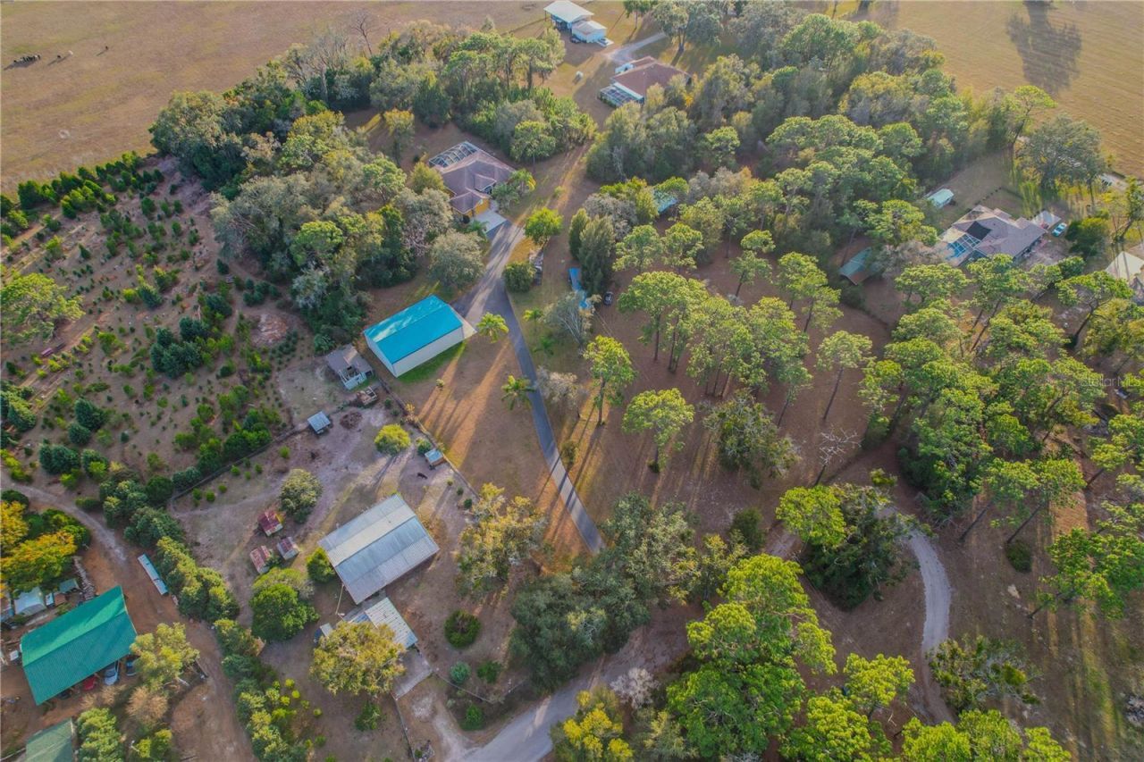 20600 Moreland Drive, Spring Hill, FL 34610 Photo