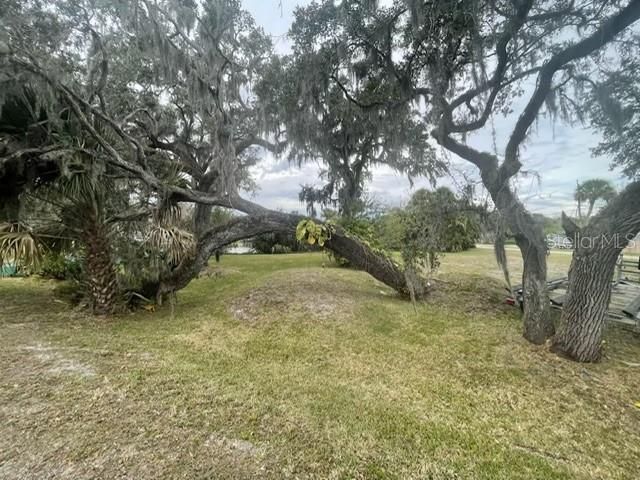 104 Ellison Avenue, New Smyrna Beach, FL 32168 Photo