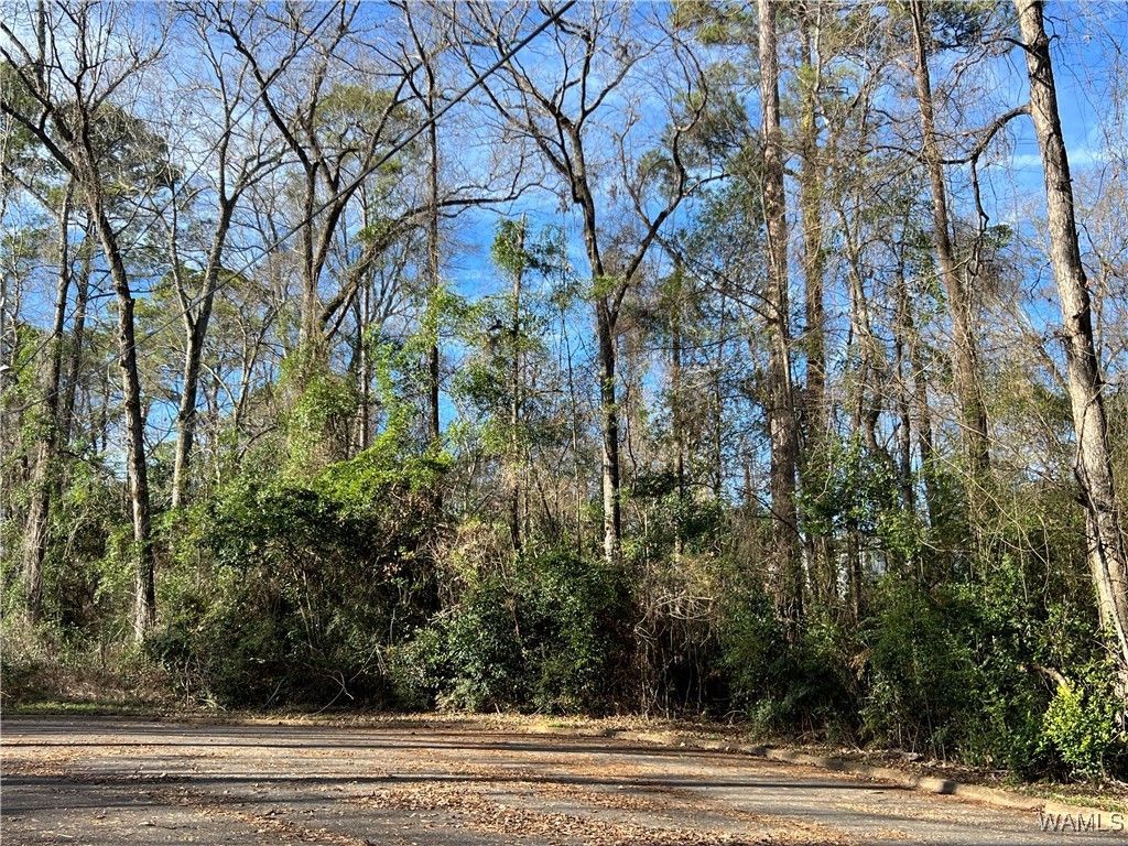 901 Hillsdale Court, Tuscaloosa, AL 35404 Main Photo