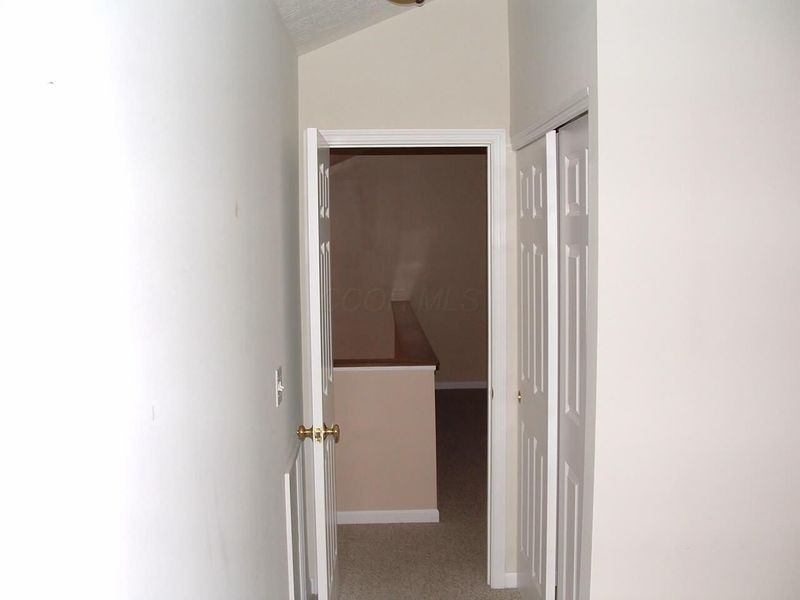 105 Maple Leaf Drive, Johnstown, OH 43031 Photo 39