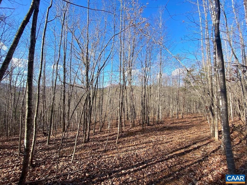 Walnut Grove Ln, Lot #45 A 26, Lovingston, VA 22949 Main Photo