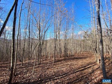 WALNUT GROVE LN, Unit 45 A 26, LOVINGSTON, VA 22949