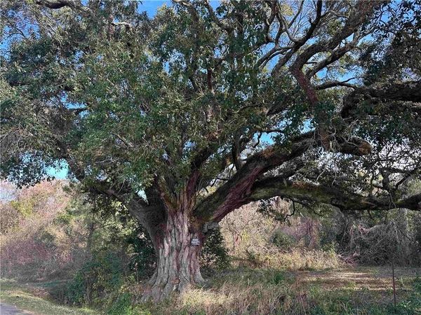 26702 County Road 54 Road, Daphne, AL 36526