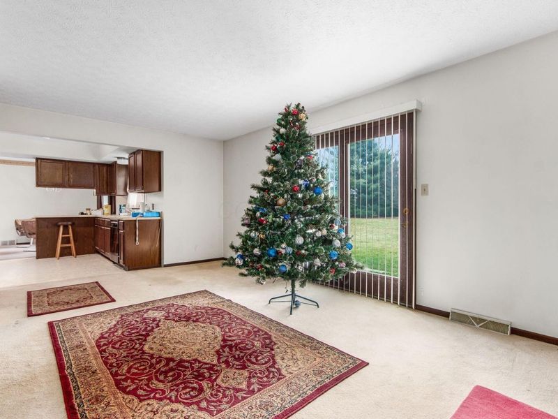 270 W Orange Road, Delaware, OH 43015 Photo 14