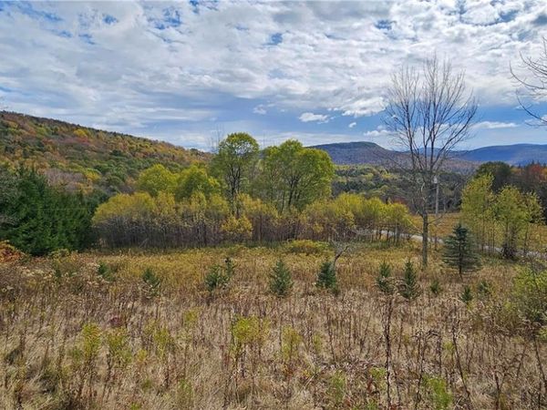 Shaver Hollow, Andes, NY 13731