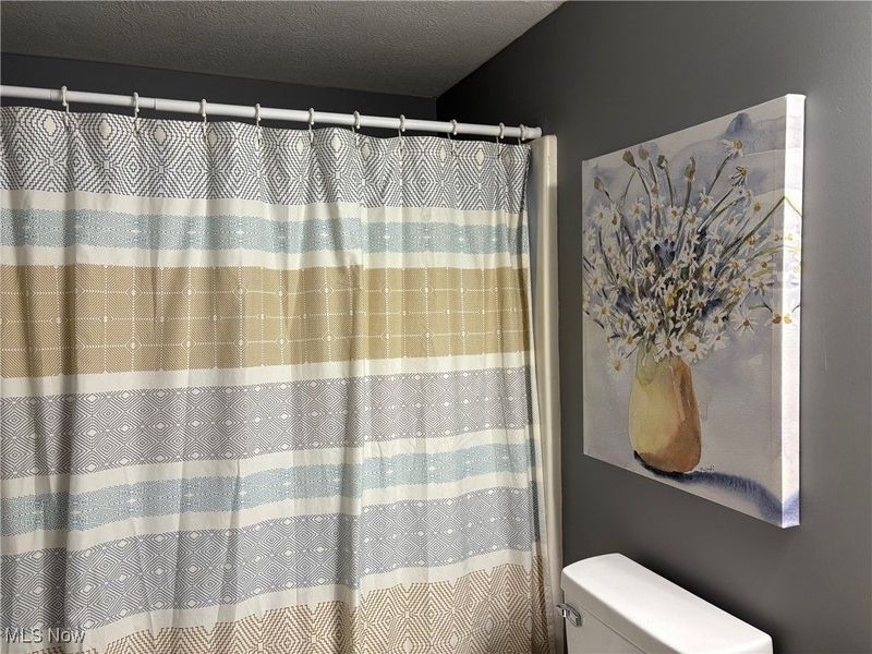 820 Shoshone Avenue, Akron, OH 44305 Photo 10