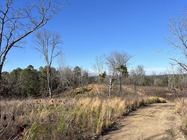 TBD STARDUST Trail, Hot Springs, AR 71913