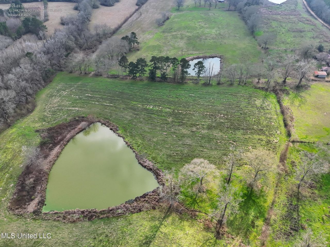 Farmer Road, Smithdale, MS 39664 Main Photo