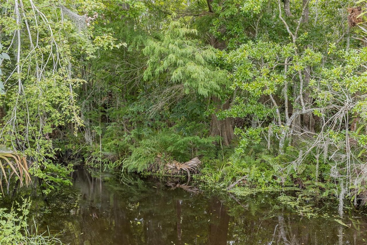 6275 Halabrin Road, Haines City, FL 33844 Photo