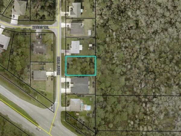 6 KARAT PATH, PALM COAST, FL 32164