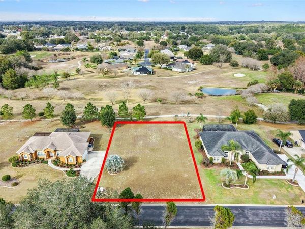 529 DOWLING CIRCLE, LADY LAKE, FL 32159