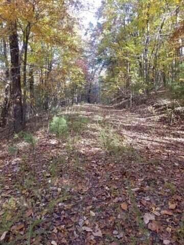 00 Tammy Trail, Spring City, TN 37381 Main Photo