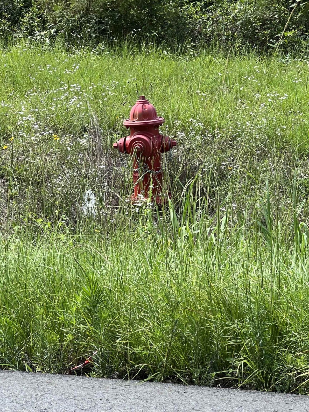 Xx Hardaway Highway , Gretna, FL 32332 Photo