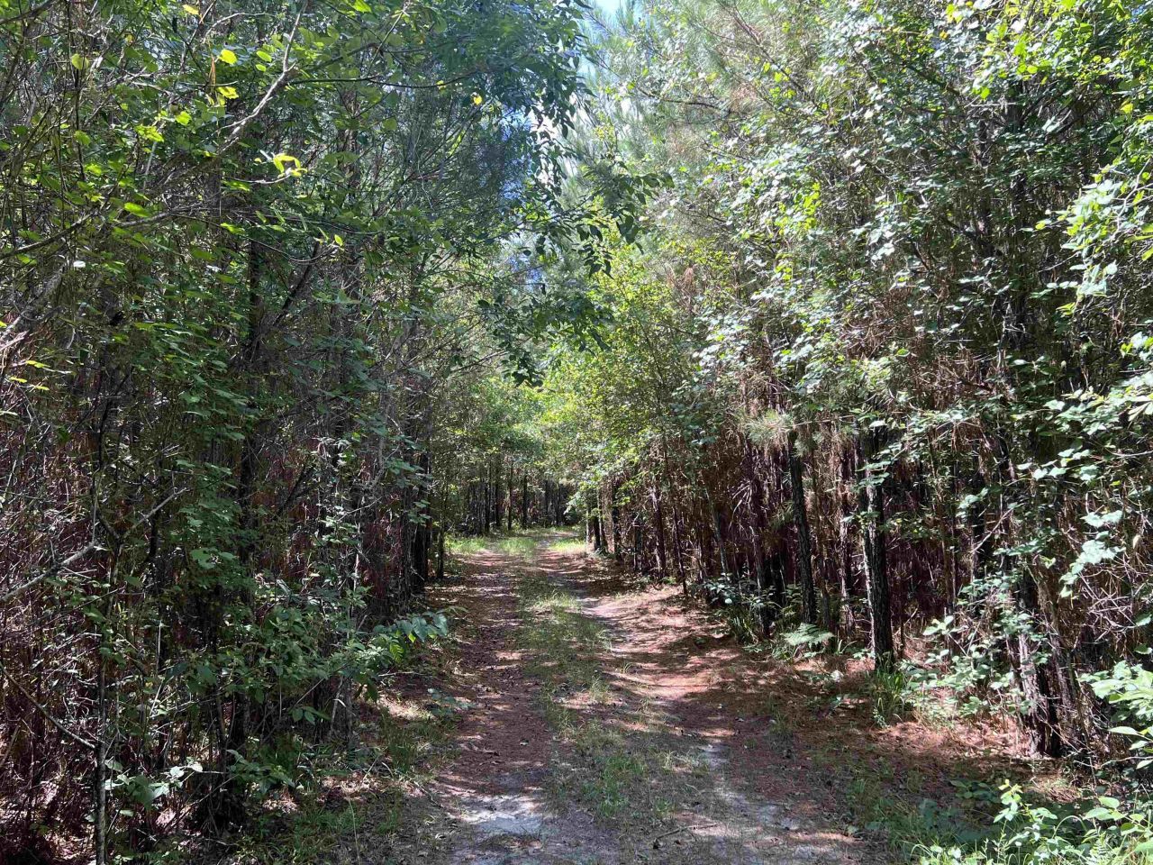 Xx Hardaway Highway , Gretna, FL 32332 Photo