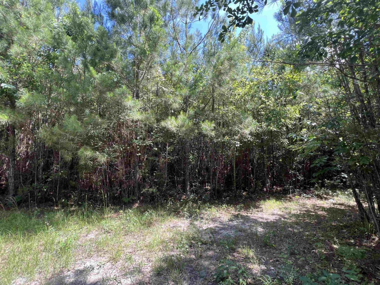 Xx Hardaway Highway , Gretna, FL 32332 Photo