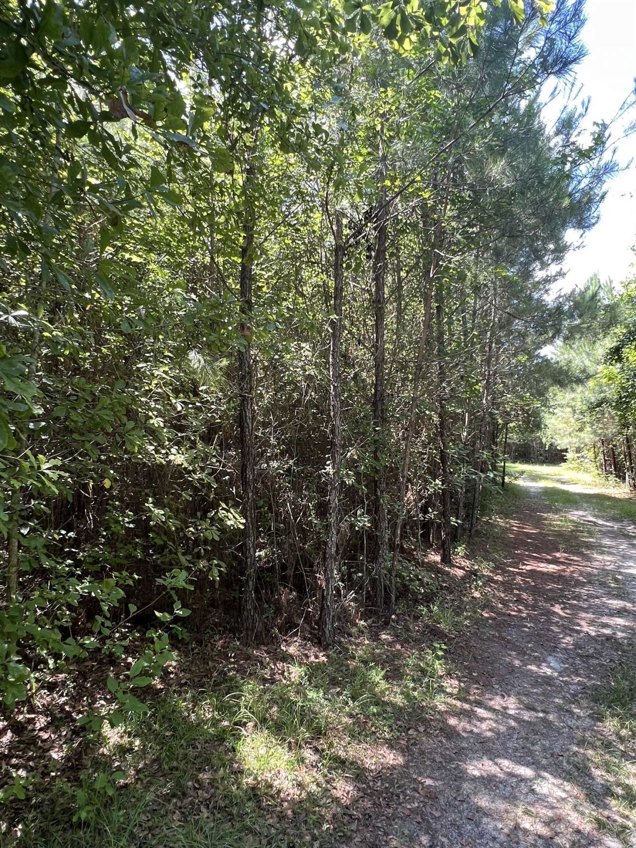 Xx Hardaway Highway , Gretna, FL 32332 Photo