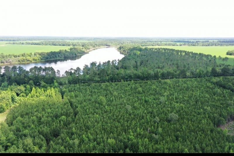 Xx Hardaway Highway , Gretna, FL 32332 Photo