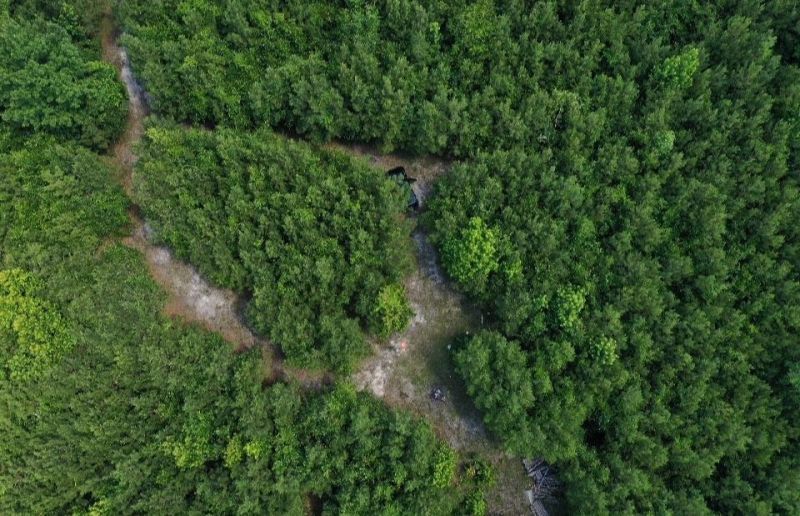 Xx Hardaway Highway , Gretna, FL 32332 Photo