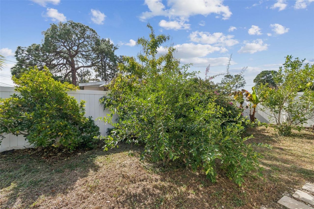 7631 18th Way N, Saint Petersburg, FL 33702 Photo