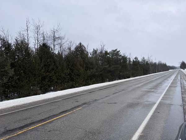 V/L - 10ac Old 27 N Road, Vanderbilt, MI 49795