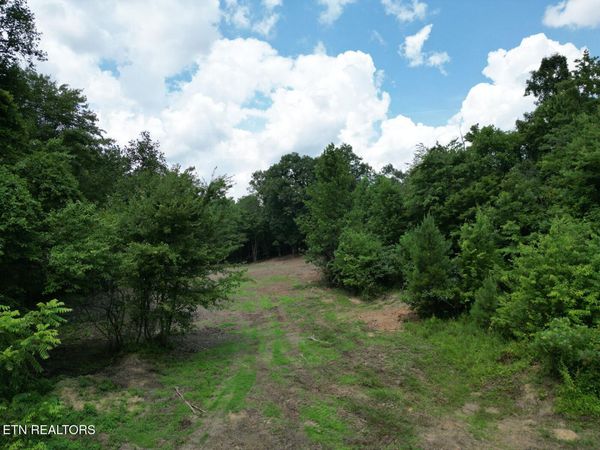 Sheep Ranch Rd , Robbins, TN 37852