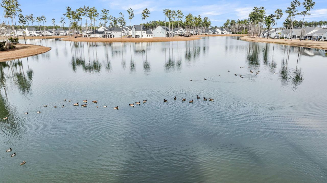 327 Tupelo Lake Drive Photo 75