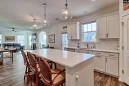 113 Mill Glen Drive photo 4