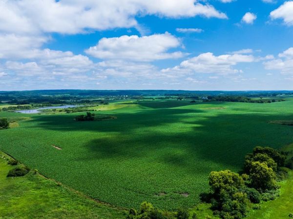 TBD 370 St Lot 190.52, Erhard, MN 56534